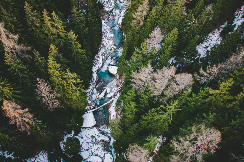 Fluss und Wald